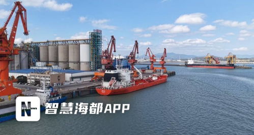 福建糧油新突破 首批6000噸大豆油成功出口，倉(cāng)儲(chǔ)服務(wù)護(hù)航國(guó)際市場(chǎng)首航